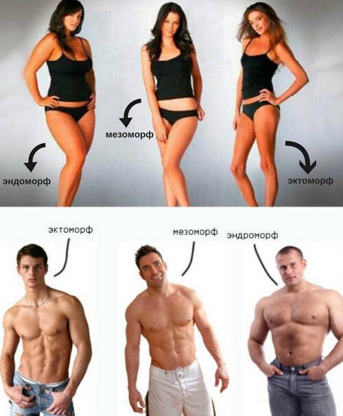 Как определить тип телосложения у мужчин калькулятор. Генетические особенности
