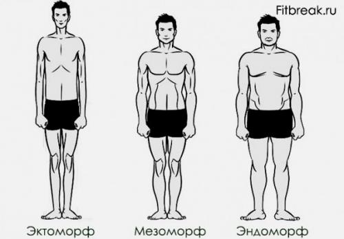 Тип телосложения можно определить способом. А Вы знаете, как определить свой тип телосложения?