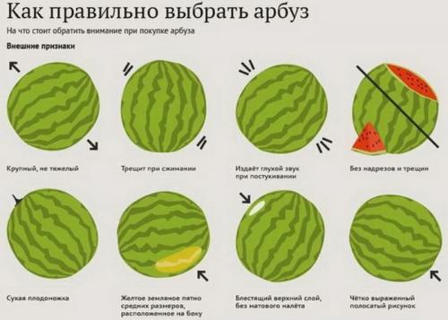 Ингредиенты Ингредиенты