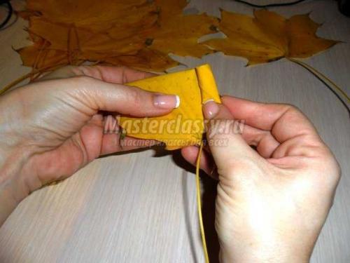 Как обработать листья перед тем, как начать собирать розу Как обработать листья перед тем, как начать собирать розу