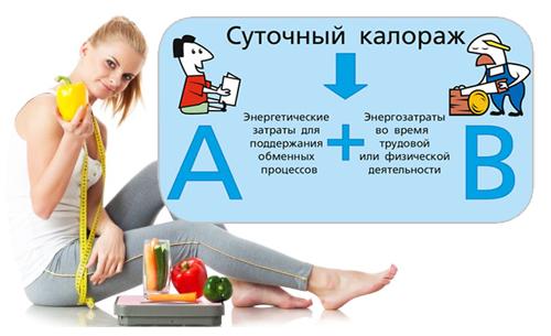 Таблица расхода калорий FitUnit: Полное руководство для фитнеса 01 Таблица расхода калорий FitUnit: Полное руководство для фитнеса 01