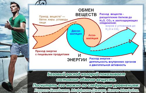 Таблица расхода калорий FitUnit: Полное руководство для фитнеса 02 Таблица расхода калорий FitUnit: Полное руководство для фитнеса 02