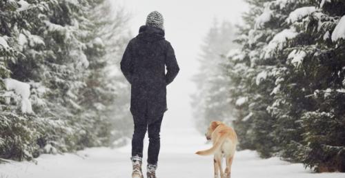 Какие дополнительные факторы влияют на расход калорий во время игры. Какие факторы влияют на скорость расхода калорий