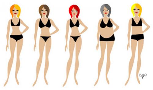 Программа тренировок для девушек по типу телосложения. Фитнес программы для женщин с разными типами телосложения
