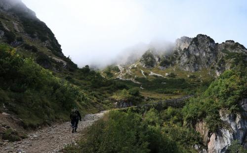 Сколько калорий сжигается при ходьбе 10 км. Ходьба пешком: виды, польза, расход калорий