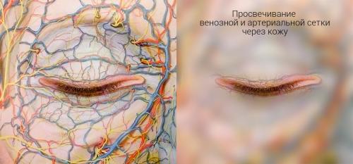 Методы омоложения кожи вокруг глаз. Плазмотерапия для области вокруг глаз 03 Методы омоложения кожи вокруг глаз. Плазмотерапия для области вокруг глаз 03