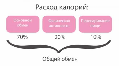 Расход калорий в день. Что такое расход калорий в день