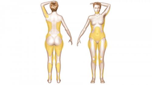 Как выглядит пресс при идеальном проценте жира в организме. Почему необходимо знать? 02