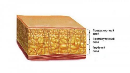 Как выглядит пресс при идеальном проценте жира в организме. Почему необходимо знать? 04