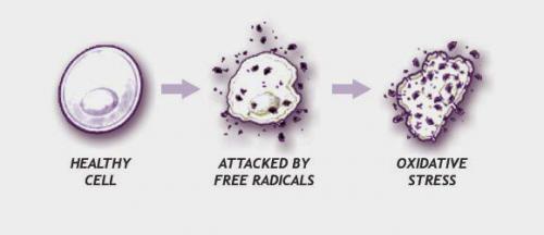 Все о морщинах: виды на лице и шее 07