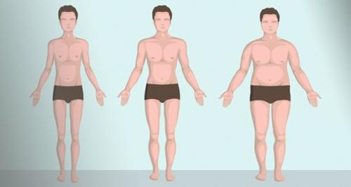Типы фигуры у мужчин и женщин. Что такое тип телосложения? 02 Типы фигуры у мужчин и женщин. Что такое тип телосложения? 02