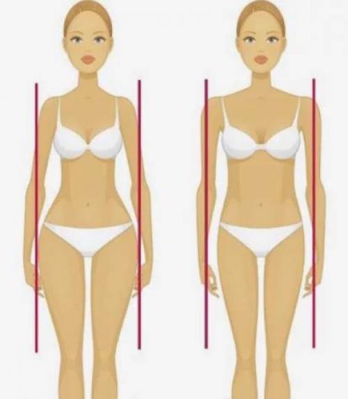 Мягкий тип фигуры. Три главных типа женской фигуры