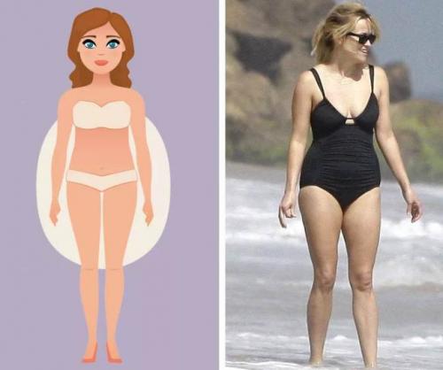 Мягкий тип фигуры. Три главных типа женской фигуры