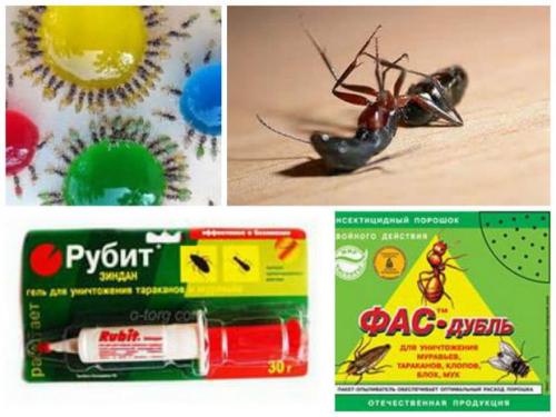 Как избавиться от муравьев. Химические средства