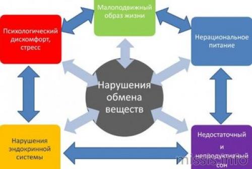 Обмен веществ в организме 02