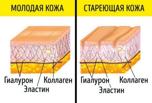 Как убрать мимические морщины на лбу и глазах.. Как образуются складки на коже 03