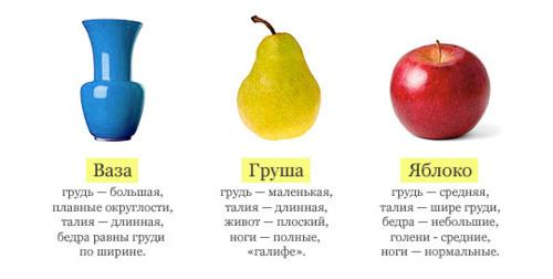 Тип фигуры ваза. Типы фигур в реальной жизни