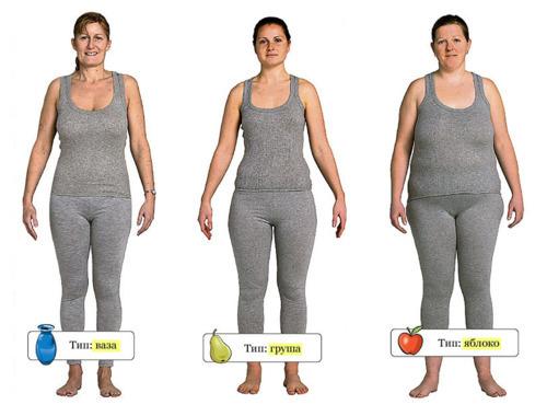 Тип фигуры ваза. Типы фигур в реальной жизни