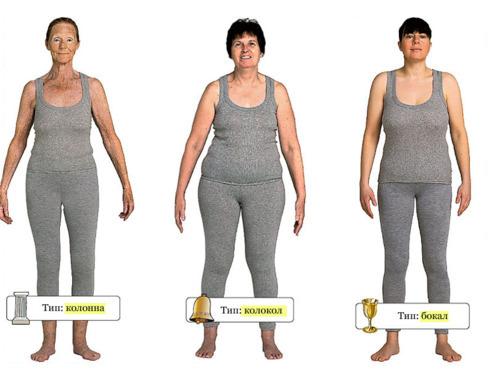 Тип фигуры ваза. Типы фигур в реальной жизни