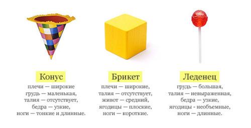 Тип фигуры кегля. Типы фигур в реальной жизни