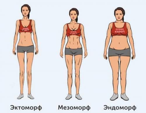 Как определить тип телосложения женщин. Виды телосложения у женщин: астеническое, нормостеническое, гиперстеническое, эндоморфный. ИМТ, как определить