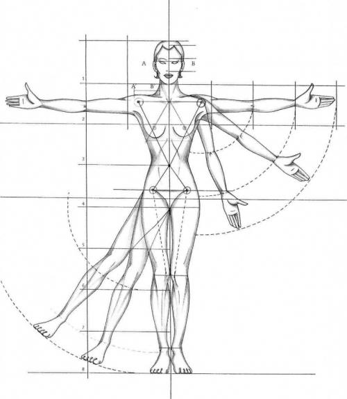 Реальные женские фигуры. Вступление