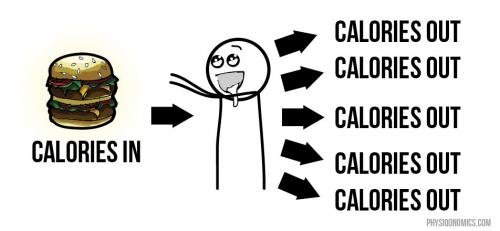 Когда начинаешь худеть при дефиците калорий. 8 причин почему вы не худеете даже на дефиците калорий