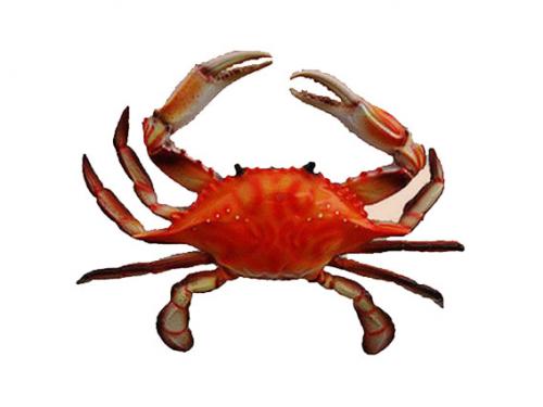 Вареные раки бжу. Раки речные вареные 03 Вареные раки бжу. Раки речные вареные 03