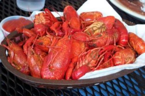 Вареные раки бжу. Раки речные вареные 06 Вареные раки бжу. Раки речные вареные 06