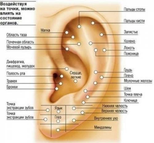 Что делать если загноился прокол в ухе. О детском пирсинге