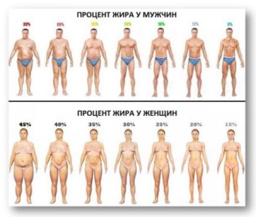 Как измерить подкожный жир и почему это важно. Как измерить процент жира в организме в домашних условиях? 07 Как измерить подкожный жир и почему это важно. Как измерить процент жира в организме в домашних условиях? 07
