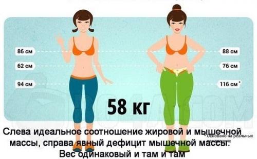1 процент жира сколько килограмм. Процент жира в организме: как узнать его количество и норму в теле самостоятельно?