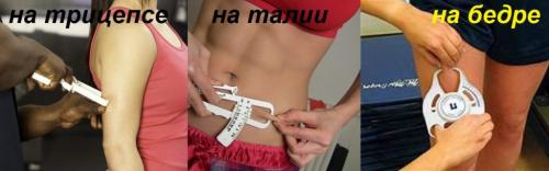 Калькулятор жира в организме. Калькулятор процента жира в организме (онлайн)