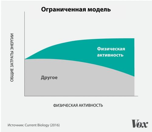 Сколько нужно потреблять калорий в день. Нормальное суточное потребление калорий 01 Сколько нужно потреблять калорий в день. Нормальное суточное потребление калорий 01