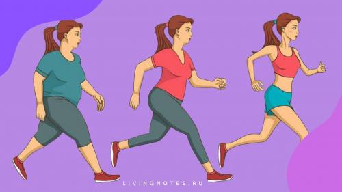 10 км сколько калорий. Сколько сжигается калорий при ходьбе 10000 шагов