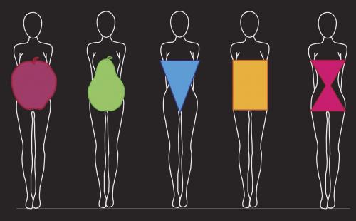 Какие есть основные типы фигуры. Основные типы фигур