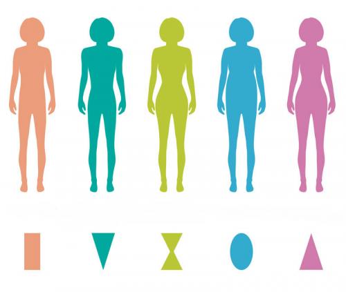 Основные типы фигуры и как их определить 02 Основные типы фигуры и как их определить 02