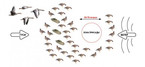 Какие факторы могут привести к проблемам с лапками у гусей