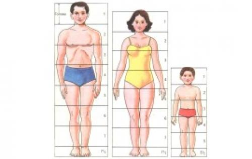 Размер одежды 54 мужской: как подобрать одежду идеального размера 01 Размер одежды 54 мужской: как подобрать одежду идеального размера 01