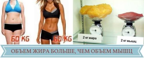 Калькулятор идеального веса по возрасту. Калькулятор веса 02 Калькулятор идеального веса по возрасту. Калькулятор веса 02