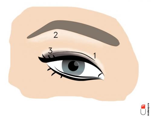 Основные правила макияжа пошагово. Всему научим: макияж глаз для начинающих