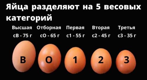 Сколько весит Яйцо без желтка. Сколько весит 1 куриное Яйцо — сырое, вареное и без скорлупы
