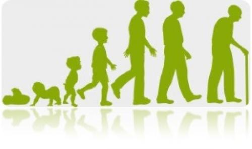 Метаболический возраст это. Биологический (метаболический) возраст: как его определить и почему он важен 03