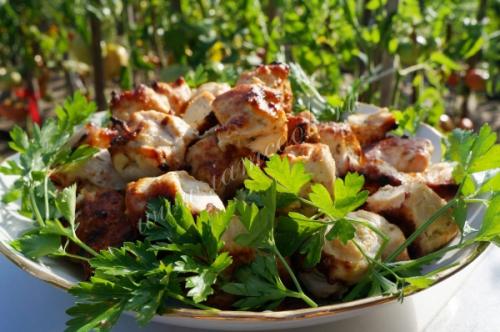 Шашлык из куриной грудки в духовке: простой и вкусный рецепт 34 Шашлык из куриной грудки в духовке: простой и вкусный рецепт 34