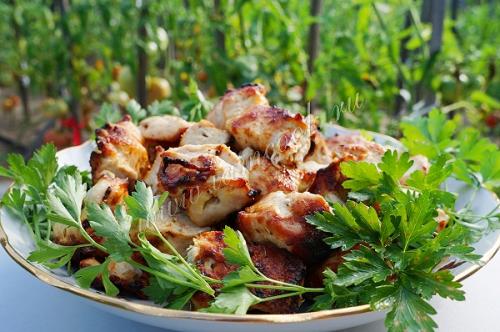 Шашлык из куриной грудки в духовке: простой и вкусный рецепт 32 Шашлык из куриной грудки в духовке: простой и вкусный рецепт 32