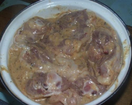 Как правильно подготовить курицу перед приготовлением шашлыка. Куриный шашлык - пять премудростей