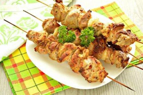 Рецепт шашлык из куриной грудки в духовке. 12 рецептов сочного куриного шашлыка на шпажках в духовке