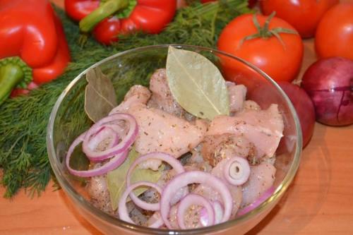 Какие соусы можно использовать для приготовления шашлыка куриного в майонезе. Маринад для шашлыка из курицы: 15 самых вкусных рецептов
