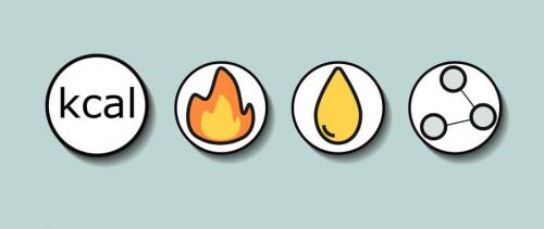 Всё про жир в нашем теле. Что происходит с питательными веществами