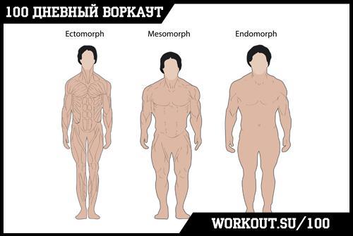 Как бы вы описали свою фигуру: астеничная, нормостеничная или гиперстеничная. Проблема определений